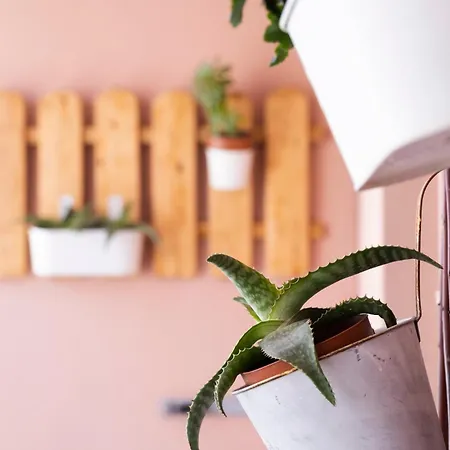 Onar Syros - Rustic 3* Ermoupoli