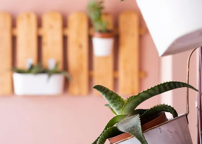 Onar Syros - Rustic 3* Ermoupoli